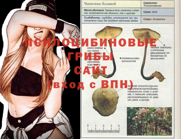 mdma Зерноград